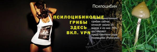 2c-b Нефтегорск